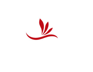 Sabka Sabkuch BPO Network